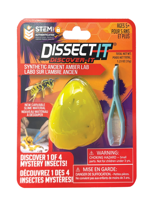 DISSECT-IT DISCOVERY - TRENDALLIANCE