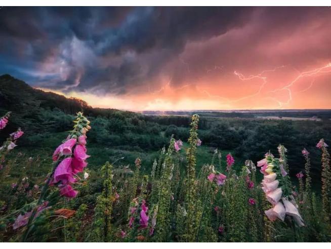 PUZZLE ÉCLAIR DE RÊVE 1000PCS - RAVENSBURGER