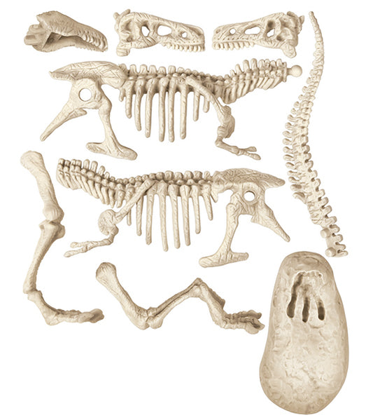 ARCHEOGIOCANDO T-REX LEUCHTEND - CLEMENTONI - ITA