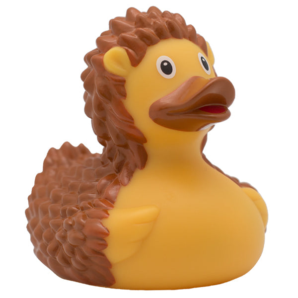 CANARD DE BAIN FRISÉ 🔶