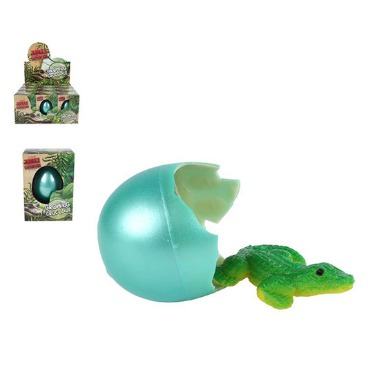 ŒUF – REQUIN EN CROISSANCE – ASSORTI 🔶
