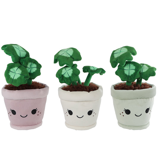 PLANTE TRÈFLE - 19 CM ASSORTIS 🔶