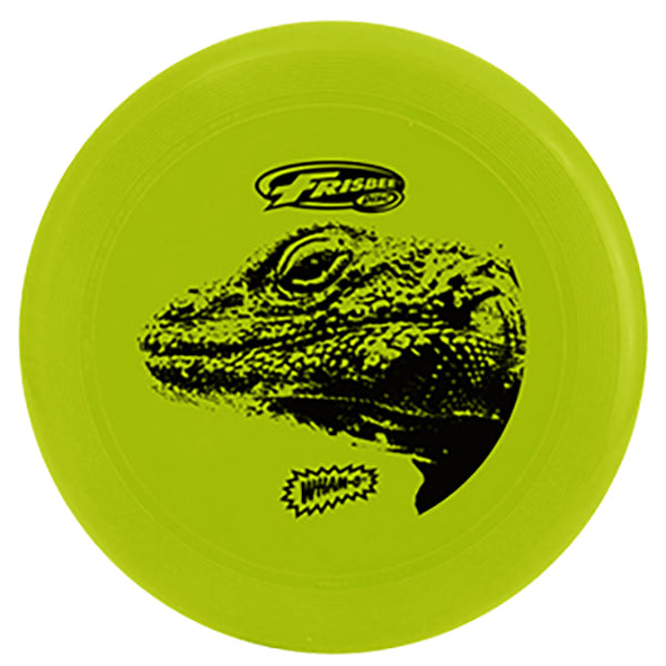 FRISBEE COOL FLYER 🔶