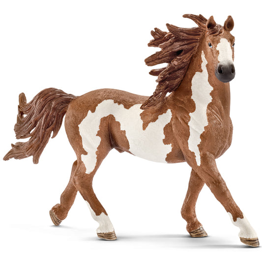 ÉTALON PINTO - SCHLEICH 🔶