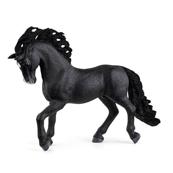 ÉTALON PUR-SANG ESPAGNOL - PRÉ-COMMANDE 🔶