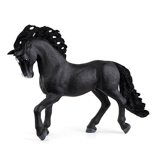 ÉTALON PUR-SANG ESPAGNOL - PRÉ-COMMANDE 🔶