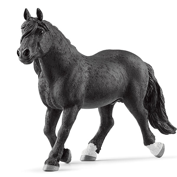ÉTALON NORIKER - SCHLEICH 🔶