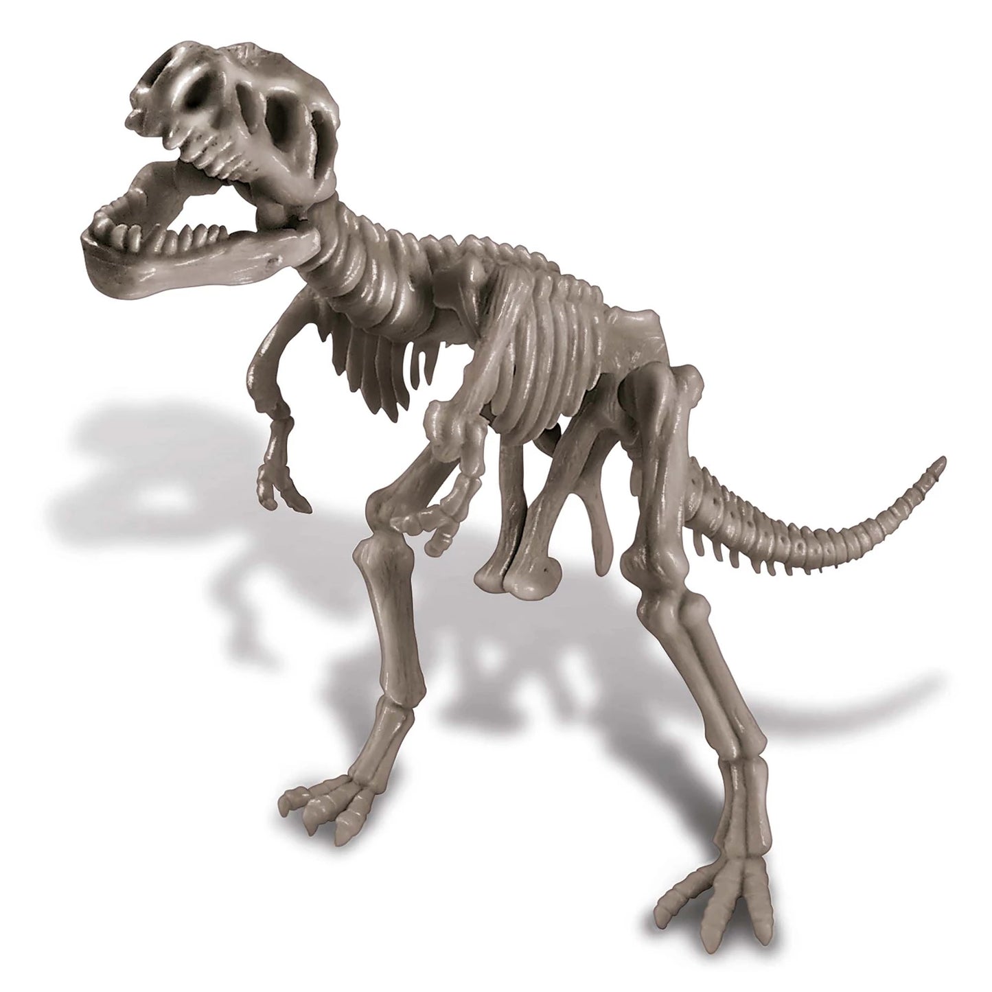 SET DI SCAVI PER DINOSAURI TYRANNOSAURUS REX