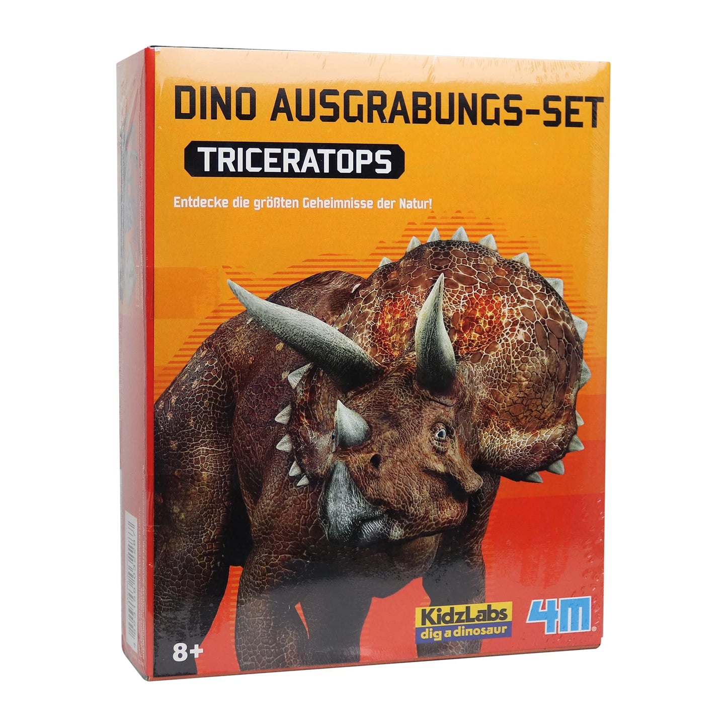 SET DI SCAVI PER DINOSAURI TRICERATOPO