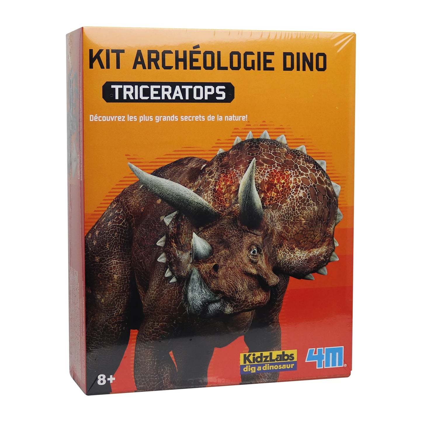 SET DI SCAVI PER DINOSAURI TRICERATOPO