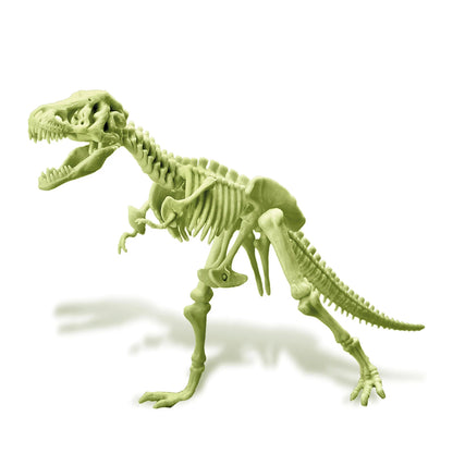 SQUELETTE DE T-REX LUMINEUX