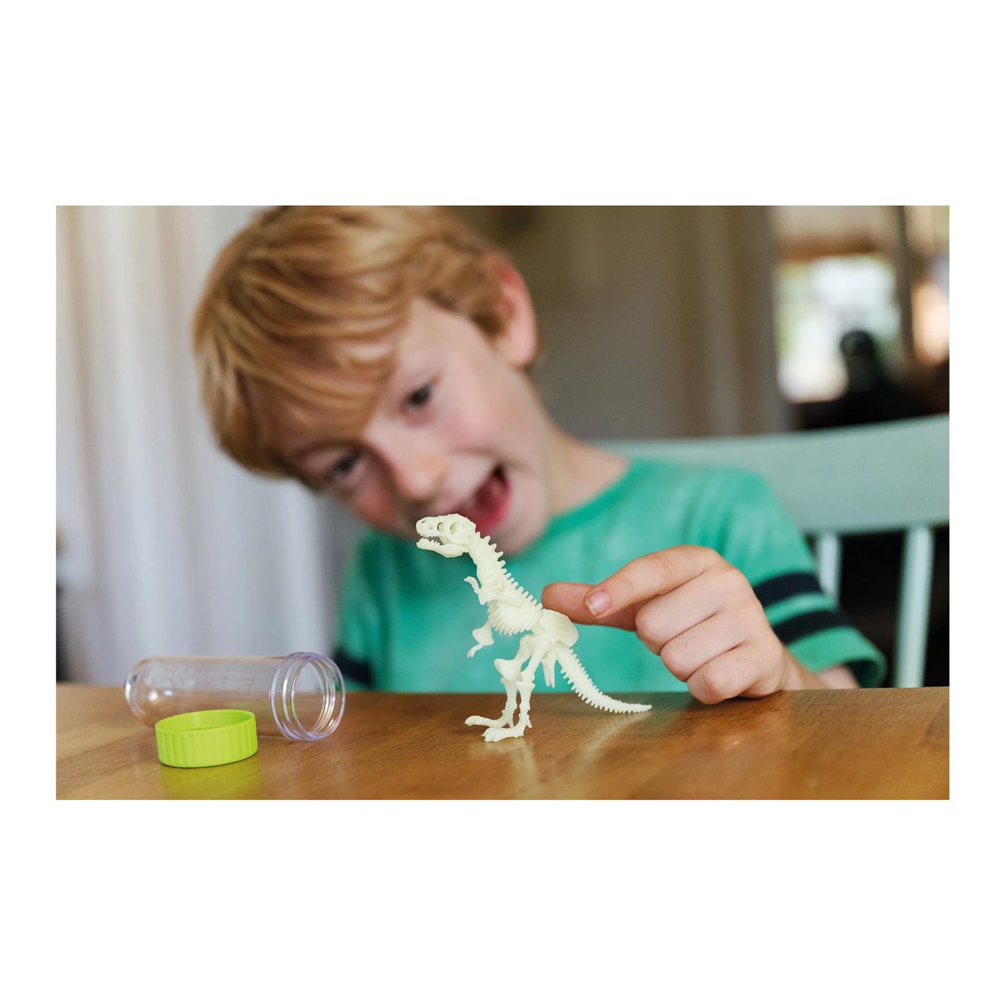 SQUELETTE DE T-REX LUMINEUX