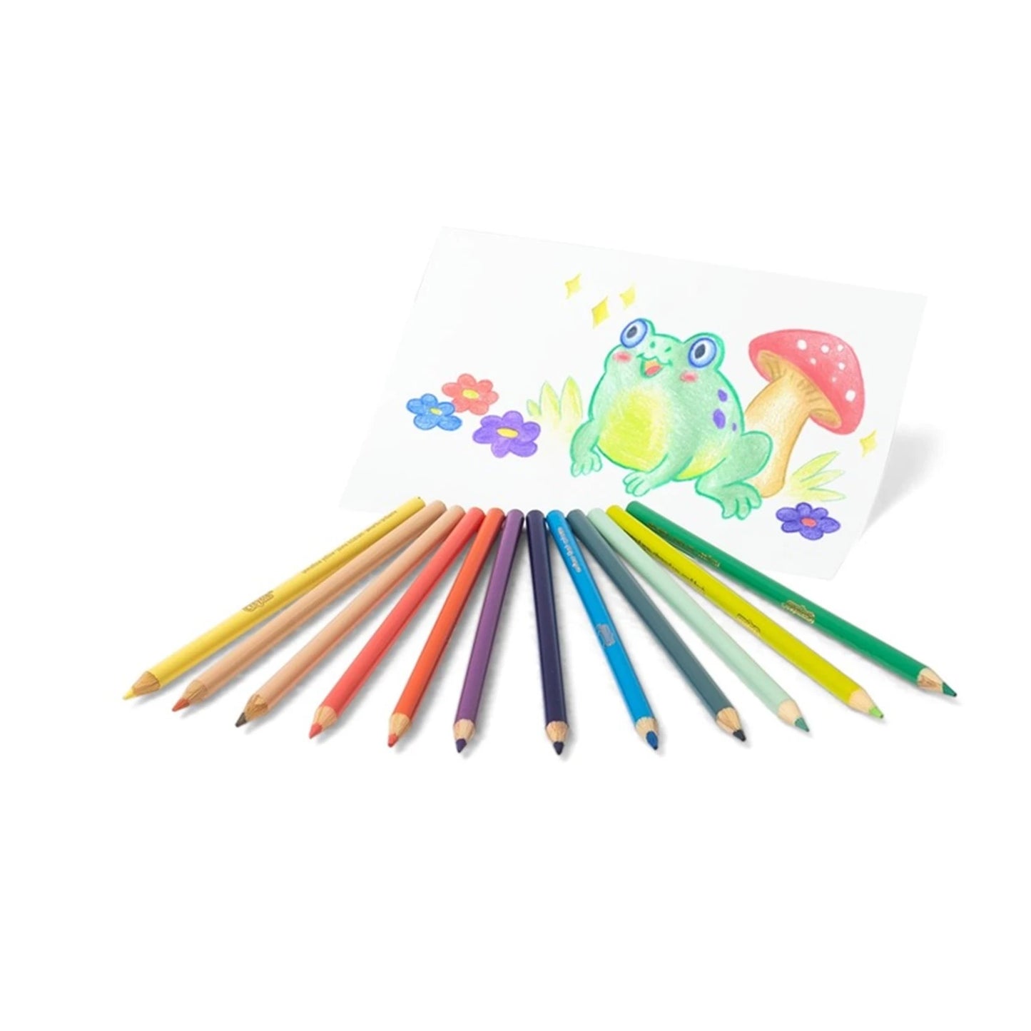 12 MATITE COLORATE PASTELLO