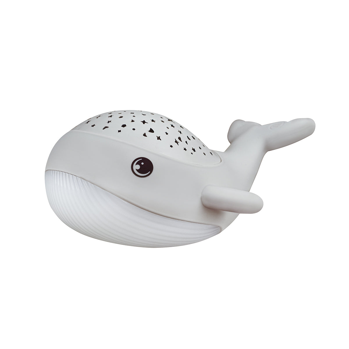 VEILLEUSE LED WILLY BALEINE 🔶
