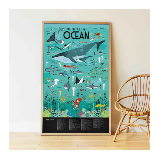 POSTER DIDATTICO CON ADESIVI SULL'OCEANO