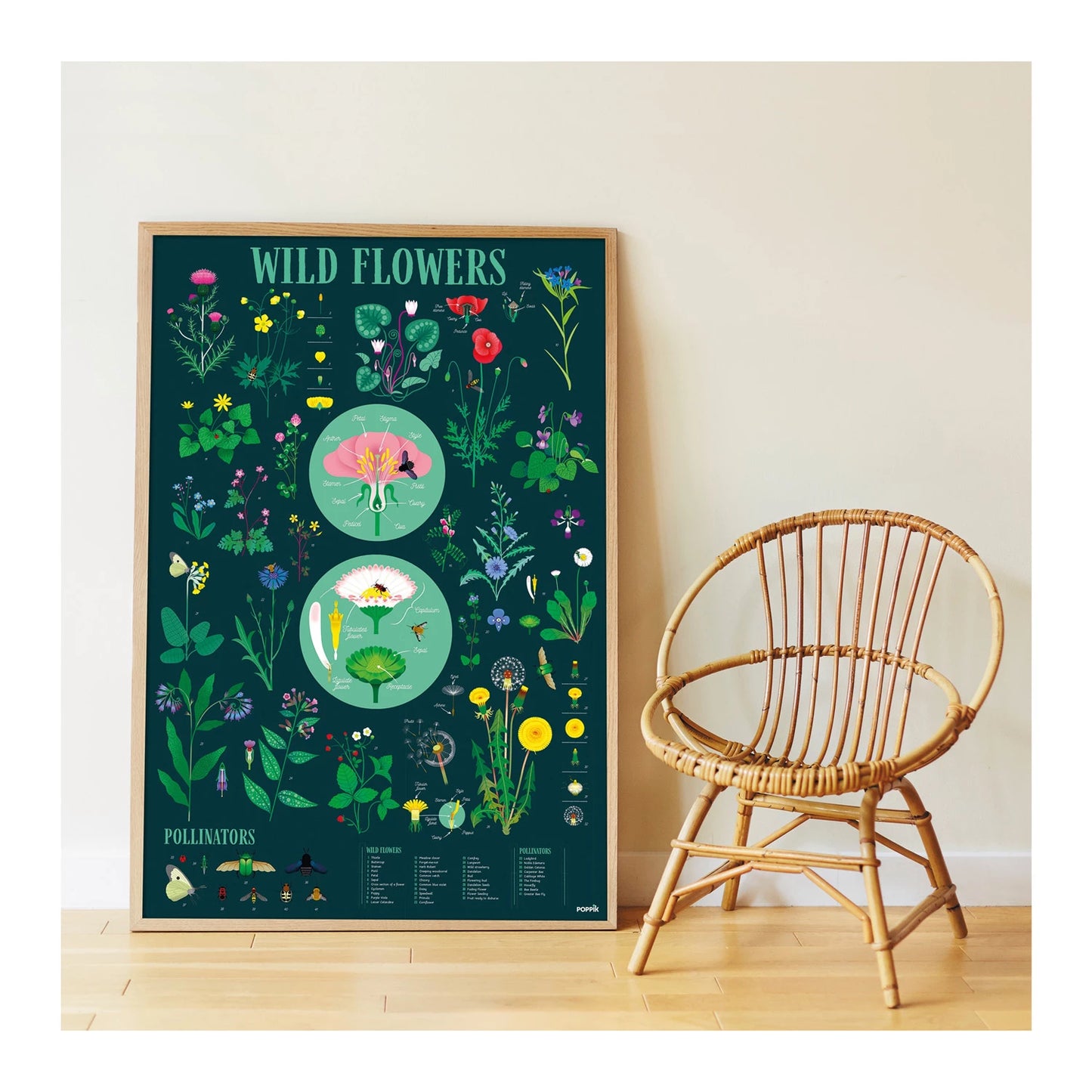 ADESIVI PER POSTER DIDATTICI DI BOTANICA