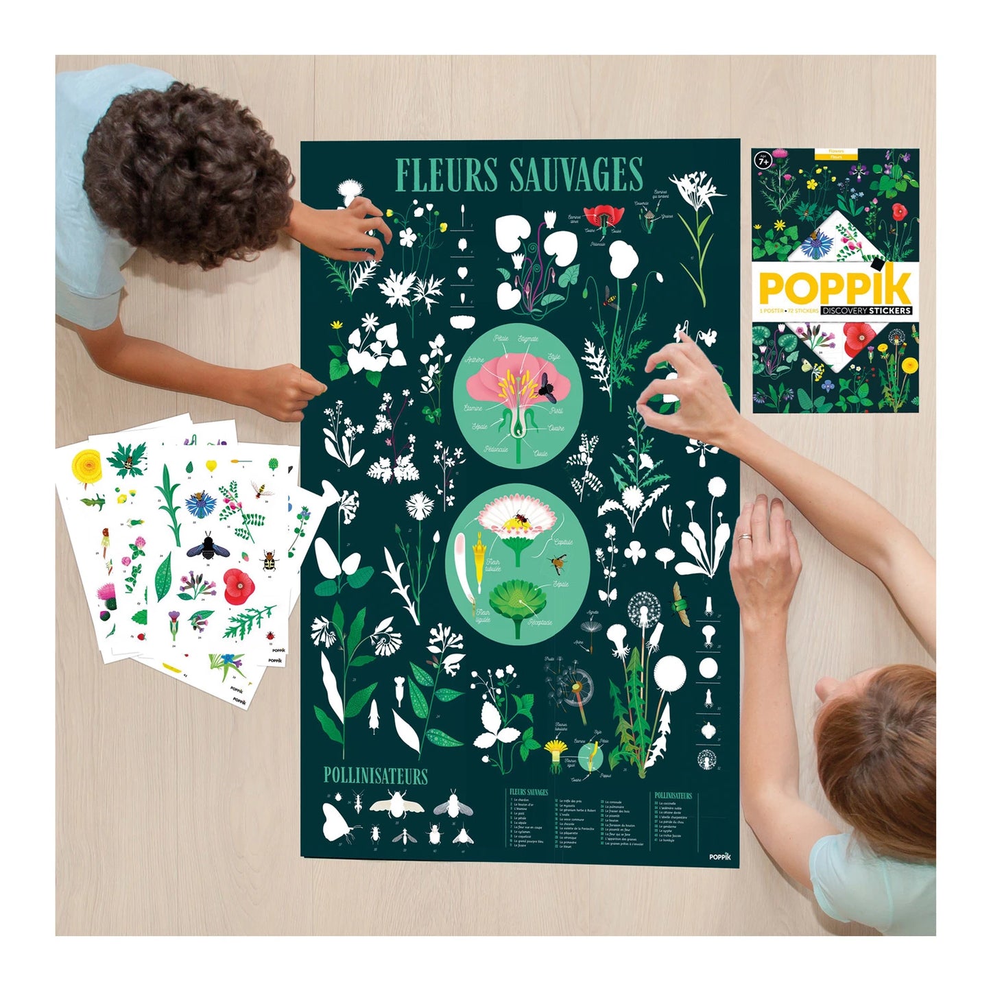 ADESIVI PER POSTER DIDATTICI DI BOTANICA