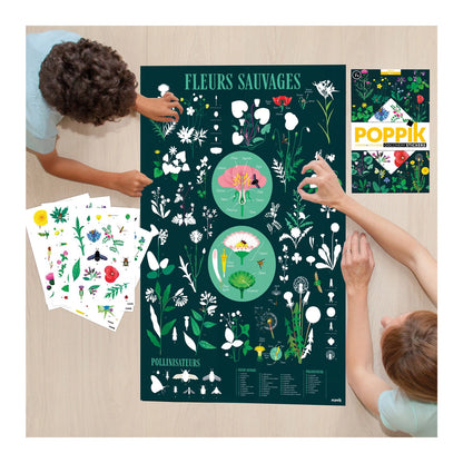 ADESIVI PER POSTER DIDATTICI DI BOTANICA