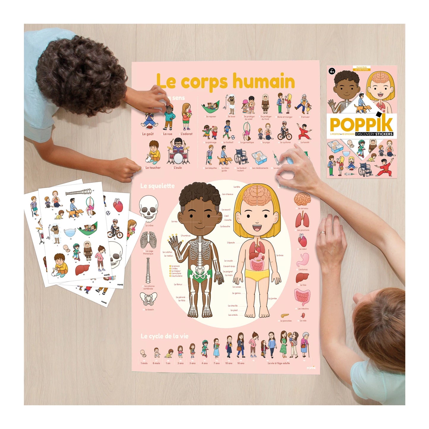 POSTER DIDATTICO ADESIVO CORPO UMANO