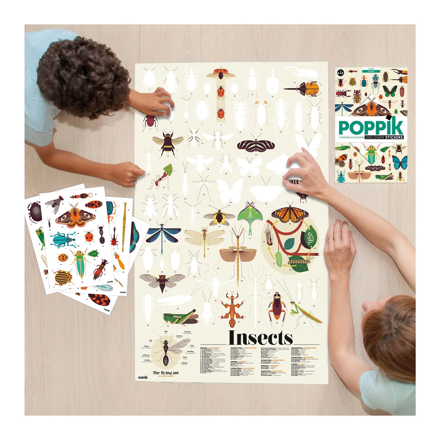 POSTER DIDATTICO CON ADESIVI SUGLI INSETTI