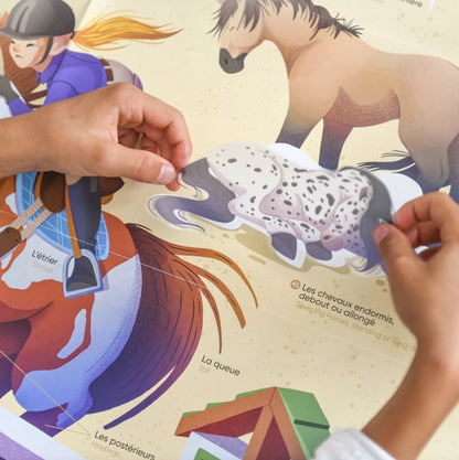 AUTOCOLLANTS D'APPRENTISSAGE DES CHEVAUX POUR AFFICHES