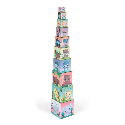 PIRAMIDE DEGLI ANIMALI PIÙ ADORABILI 🔶