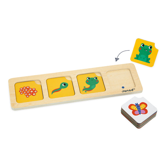 SÉQUENCE DE CARTES POUR LE JEU D'APPRENTISSAGE DANS LE JARDIN 🔶