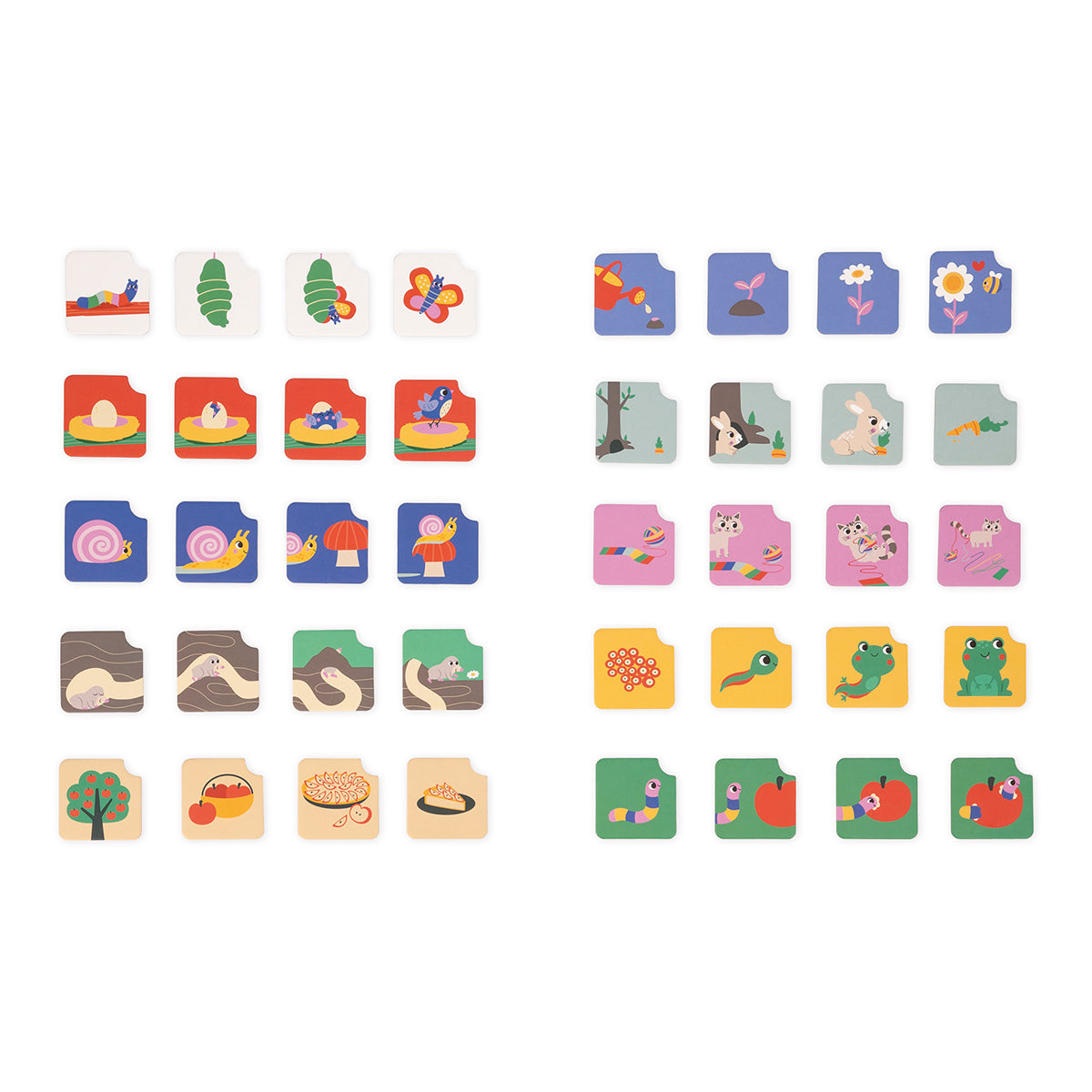 SÉQUENCE DE CARTES POUR LE JEU D'APPRENTISSAGE DANS LE JARDIN 🔶