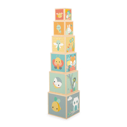 PYRAMIDE PURE 🔶