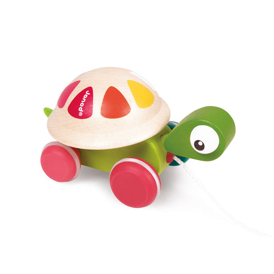 TWIST TURTLE 🔶