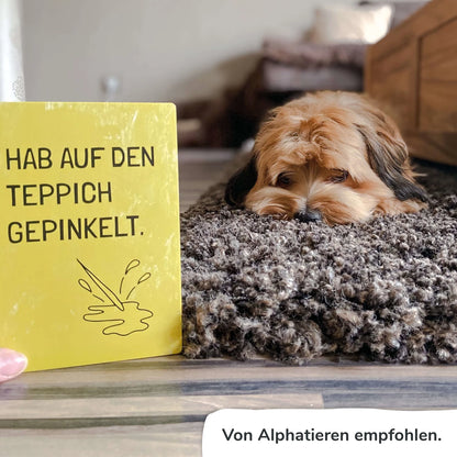 SCHEDE DI TRAGUARDO PER CANI (D)