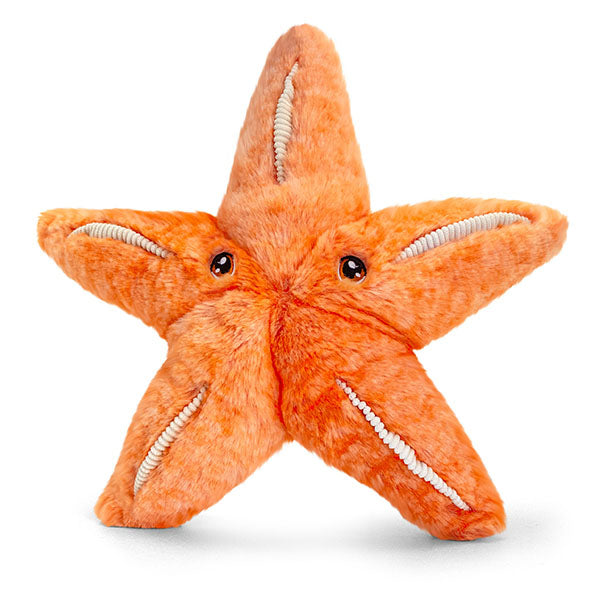 KEELECO ÉTOILE DE MER 25 CM 🔶