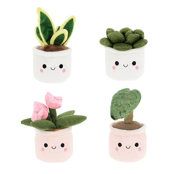 PLANTES BOBBALLS 30 CM 🔶