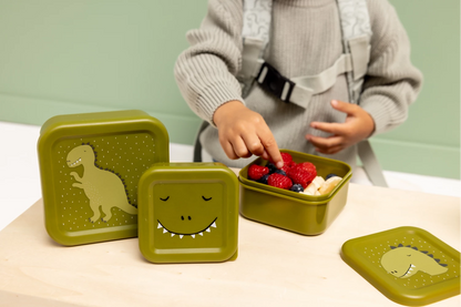 SNACKBOX-SET 3-TLG. DINO