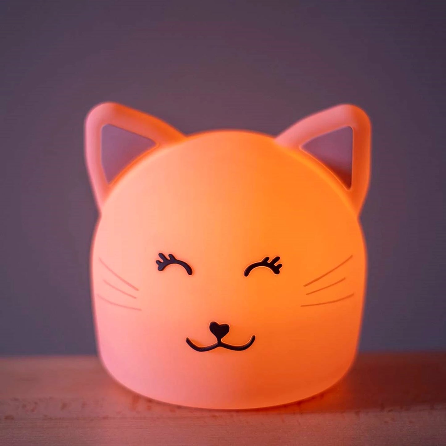 NACHTWACHTE FÜR KATZEN