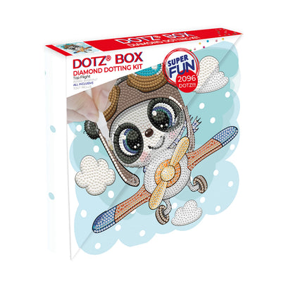 DOTZ BOX MEDIUM VARIANTE 2 6X1 ASS