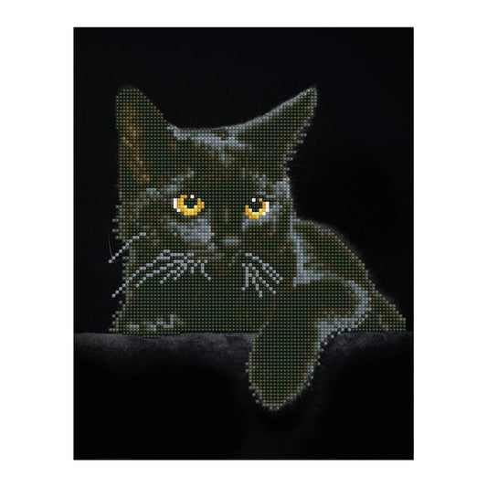 DIAMANTE DIPINTO GATTO NERO