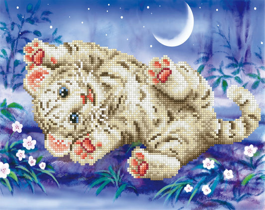 PITTURA A DIAMANTE TIGRE PICCOLA