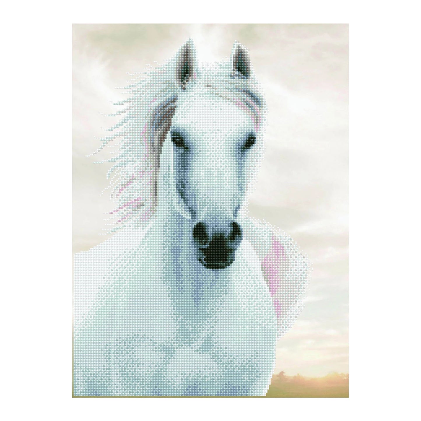 DIAMOND PAINTING CAVALLO BIANCO