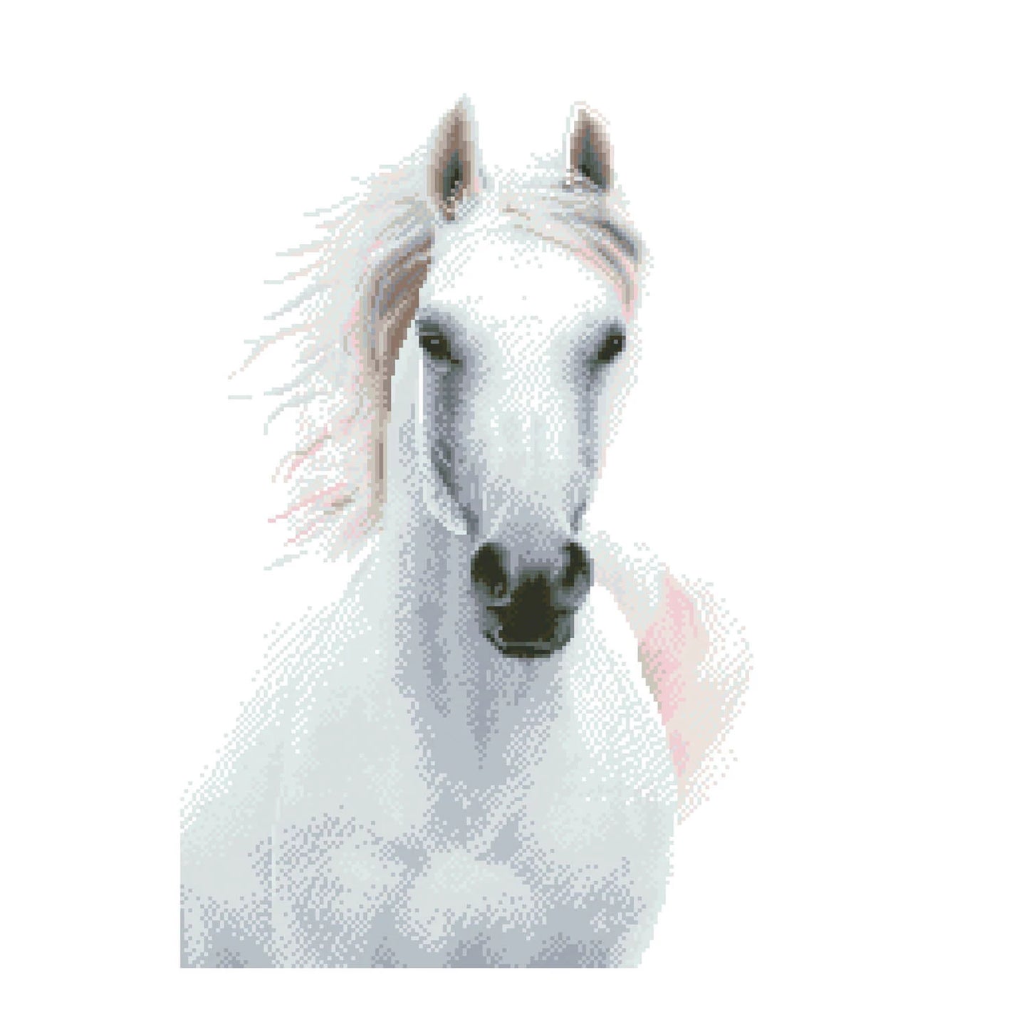 DIAMOND PAINTING CAVALLO BIANCO