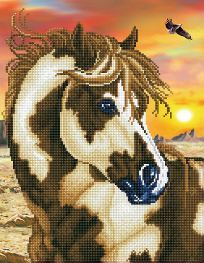 DIAMANTMALEREI WILDES PFERD