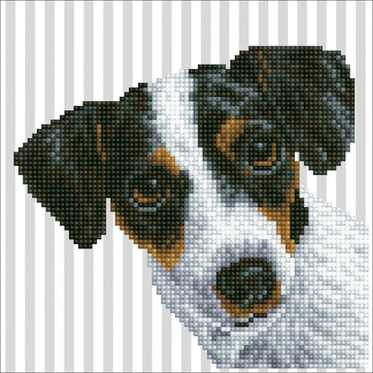 DIAMANTGEMALTES HUNDEBABY