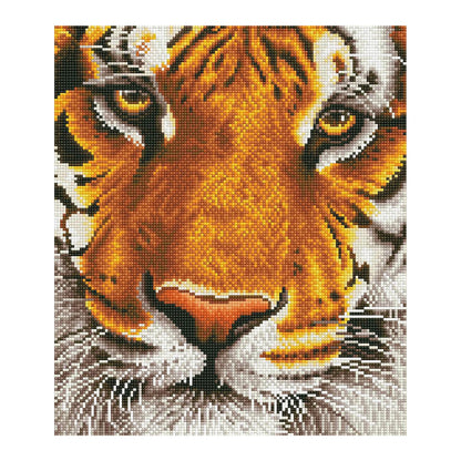 PITTURA A DIAMANTE TIGRE