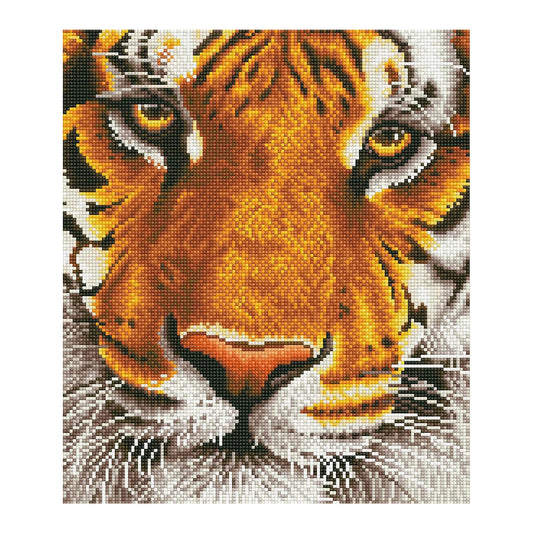 PITTURA A DIAMANTE TIGRE