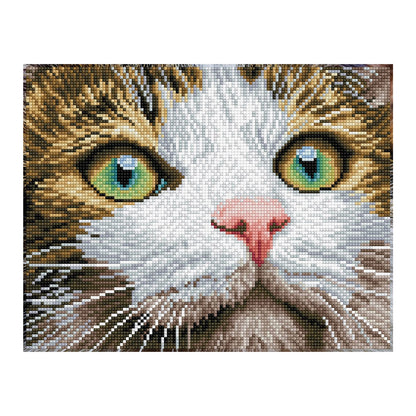 DIAMANTBILD KATZE MIT GRÜNEN AUGEN