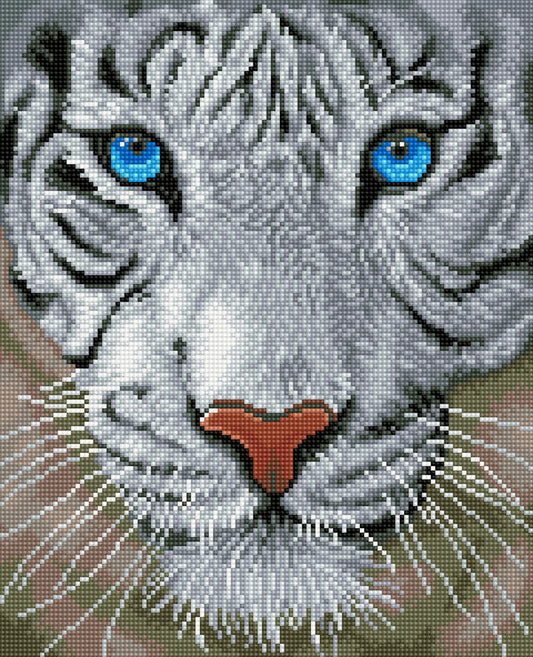 PITTURA A DIAMANTE TIGRE BIANCA