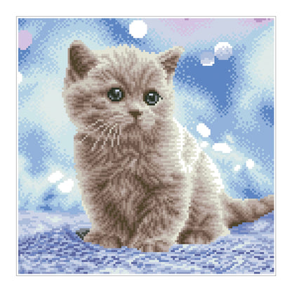 GATTINO DIPINTO A DIAMANTE