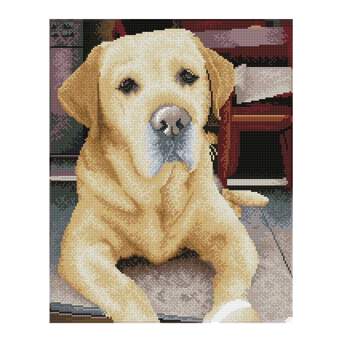 PITTURA A DIAMANTE LABRADOR