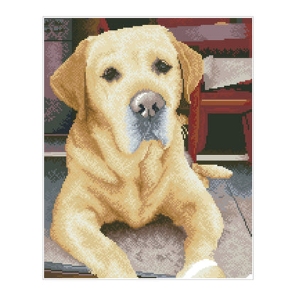 PITTURA A DIAMANTE LABRADOR