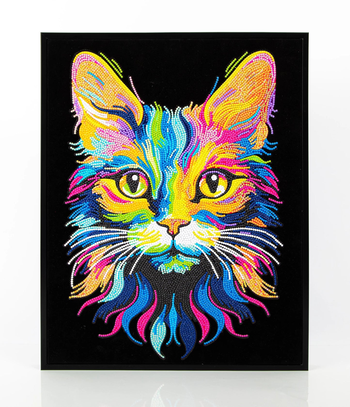 PITTURA A DIAMANTE GATTO AL NEON